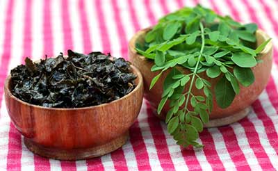 moringa