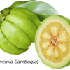 garcinia-cambogia-fruit