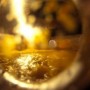 Boire trop d’alcool accélère le déclin de la mémoire chez les hommes. Alcohol