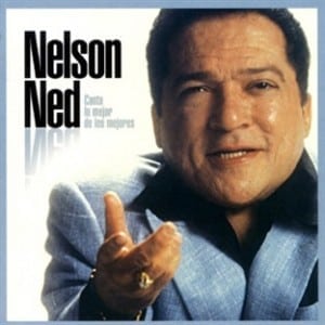 nelson-ned